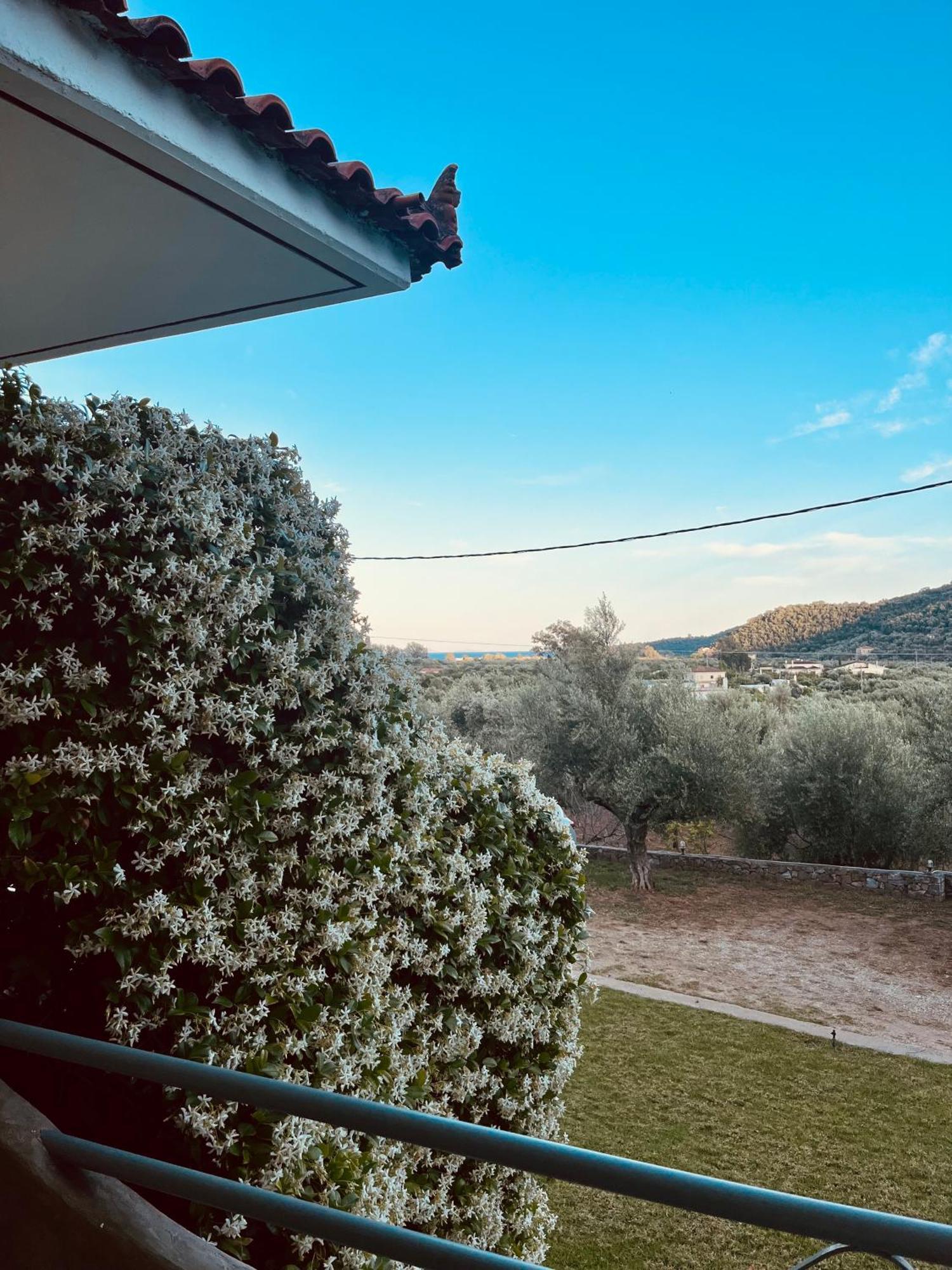 Nefeli Studios Vathí Esterno foto